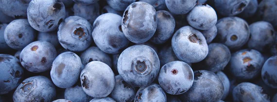 Antioxidanter Antioxidanter