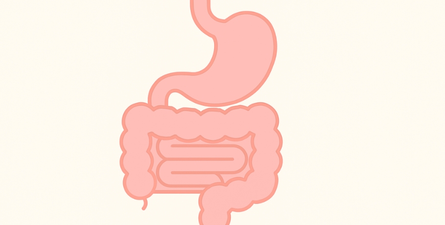 Allt om Bacillus coagulans
