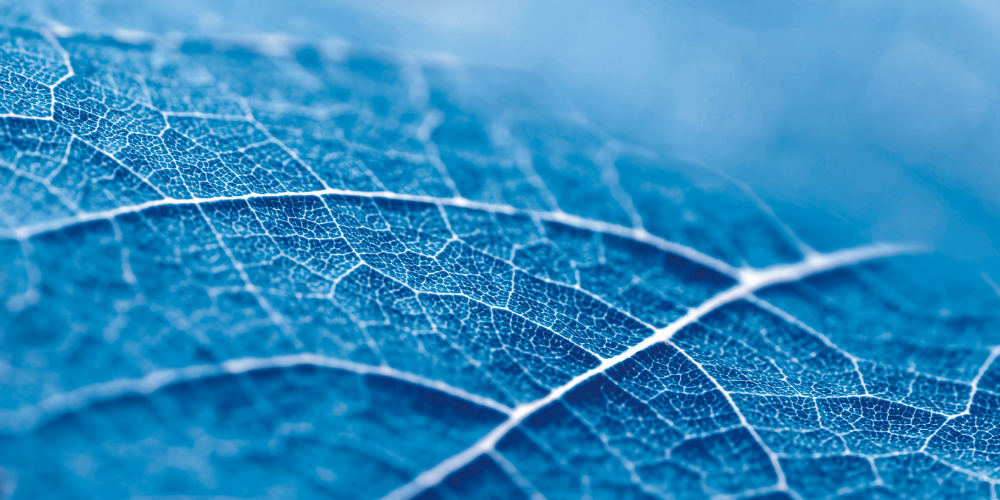 Magnesium – mineralet som de fleste behøver mere af Magnesium – mineralet som de fleste behøver mere af