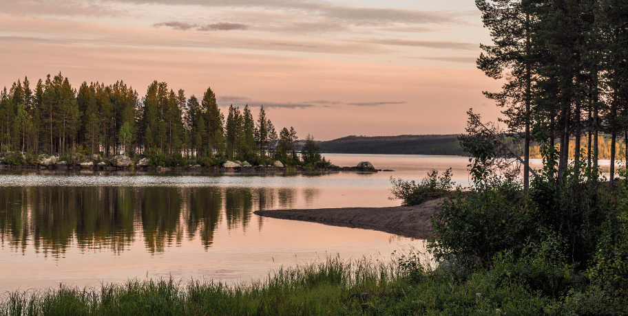 Promenera i naturen