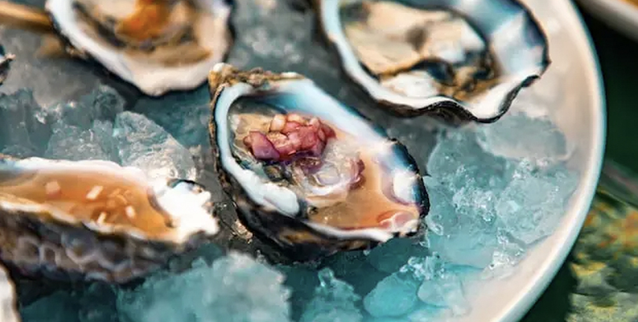 The Mighty Oyster: 5 Incredible Health Benefits You Need to Know