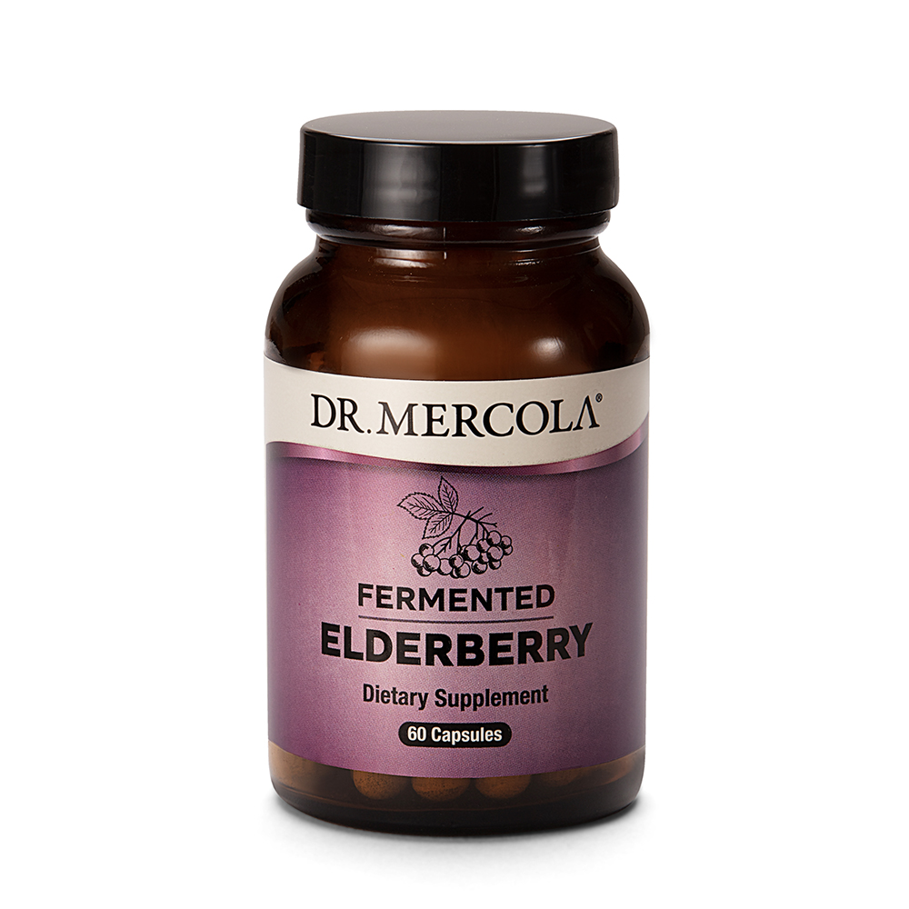 Fermented Elderberry Fläderbär – EKO